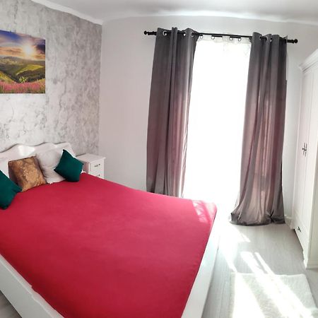 Apartament Gabriela Baia Mare Eksteriør bilde