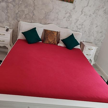 Apartament Gabriela Baia Mare Eksteriør bilde