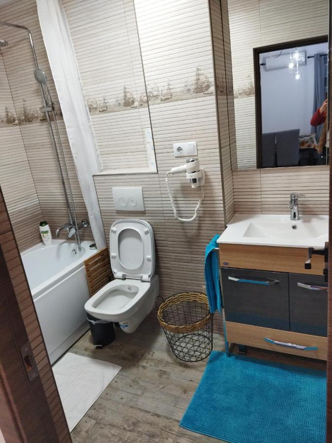 Apartament Gabriela Baia Mare Eksteriør bilde
