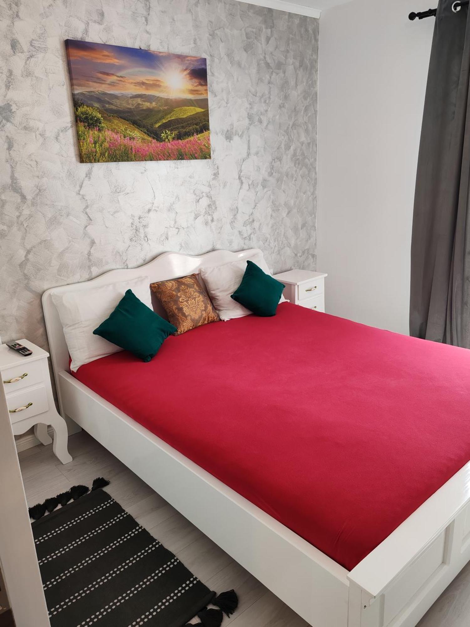 Apartament Gabriela Baia Mare Eksteriør bilde